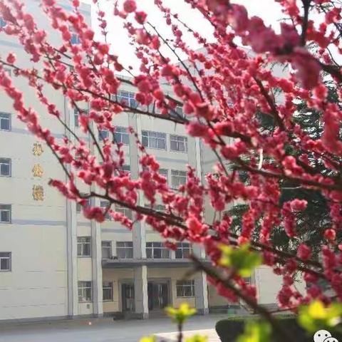 卧龙学校东校区高二19班线上学习优秀学员风采展示