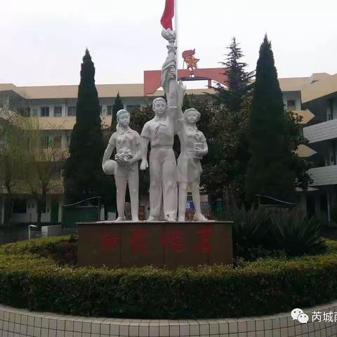 南街小学一（4）班“预防结核病”活动掠影