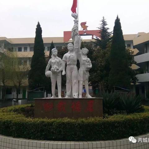 南街小学一语组“停课不停学”第七周工作总结