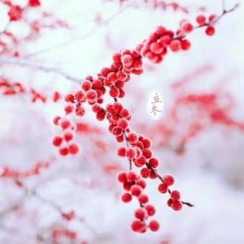 “秋意正浓时，悄然迎立冬”——木垒县幼儿园立冬主题活动