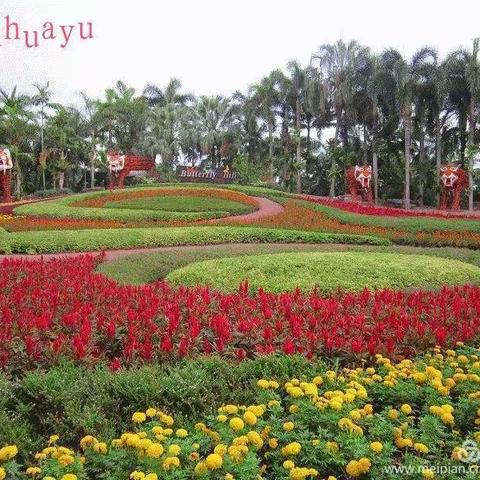 累并快乐之旅—— 2013年泰国（下）