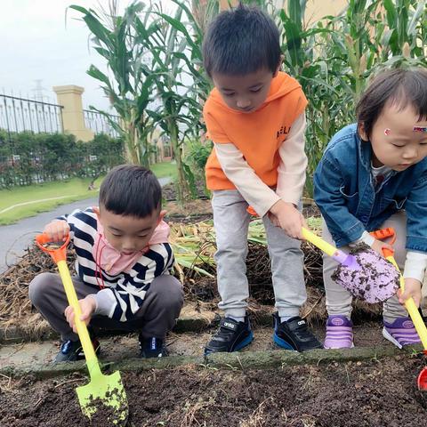 🍃邂逅蚯蚓