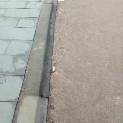 文昌市树芳小学“三边三点”环境整治情况汇报