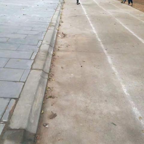 文昌市树芳小学“三边三点”环境整治工作汇报