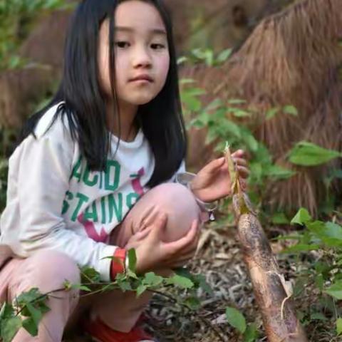 竹韵 天易水竹 一（5）班 尹湘婷