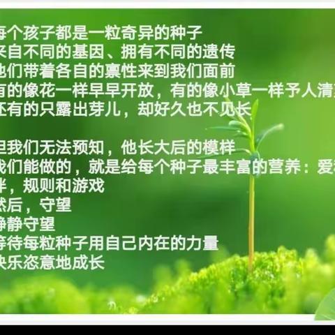 我的童年游戏我做主——于集镇中心幼儿园中一班小朋友自主游戏进行时