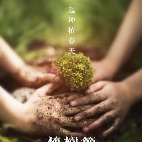 校园添绿增彩行动起来——陈家学校植树节活动