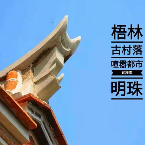 情系桑梓泽被侨胞