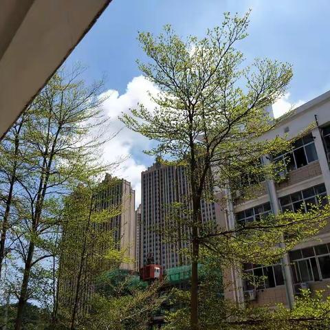 一场无法言语的青春