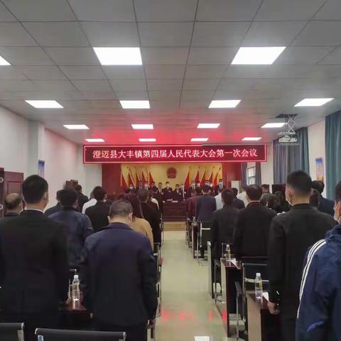 大丰镇第四届人民代表大会第一次会议胜利闭幕