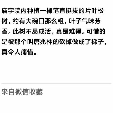 西风瘦马  的美篇