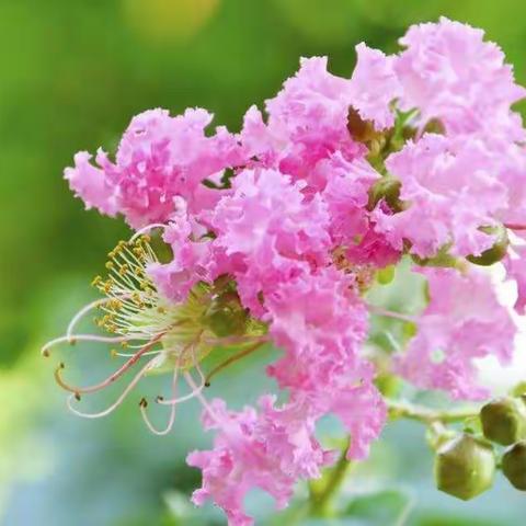 挥动青春的翅膀与＂爱＂同行