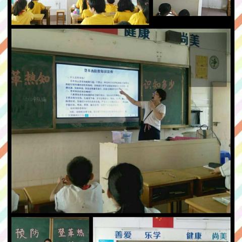 湛江市第二十九小学 “登革热防控，我们在行动”活动花絮