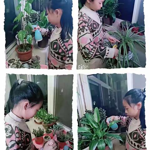 春种正当时——唐山市贾庵子小学开展居家小种植活动