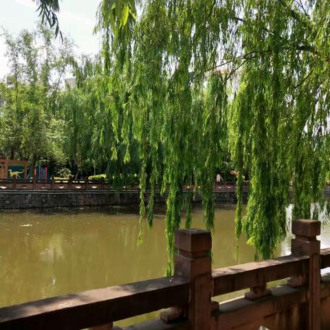 小城故事之悠悠烟柳情