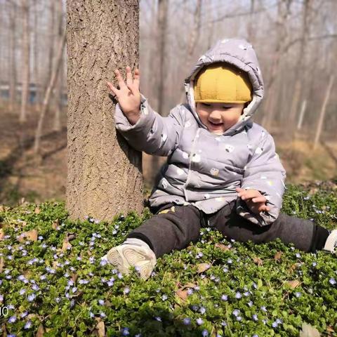 二小朱家华的美篇202003