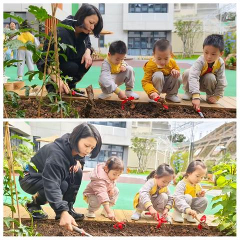 小番茄  大世界