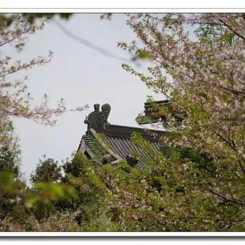 锡林浩特市第三小学“停课不停学”——一年级三班、四班第五周学习活动图集