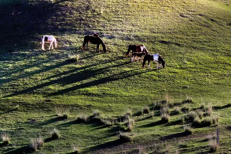 漫游随拍记忆-1