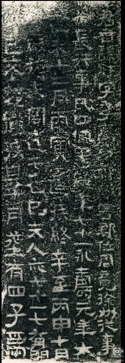 司法鉴定，质量鉴定