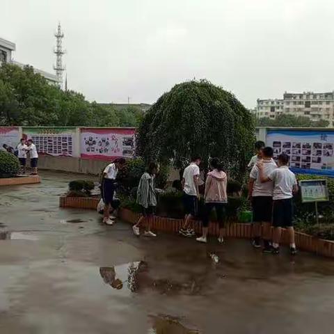 趣中学，学中乐——蜗牛记