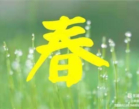 "挥别春天，牵手夏天"——百尺镇中心小学彩虹幼儿园"寻找春天”主题教育活动总结篇