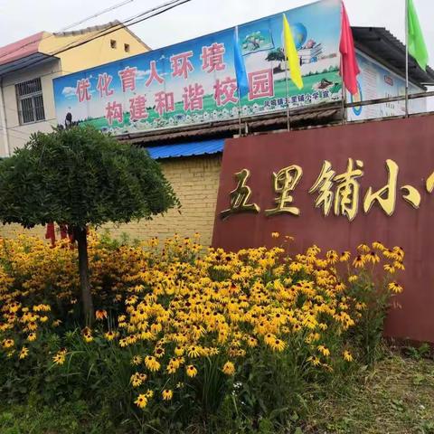珍爱生命       健康成长——五里铺小学“生命安全教育”系列活动