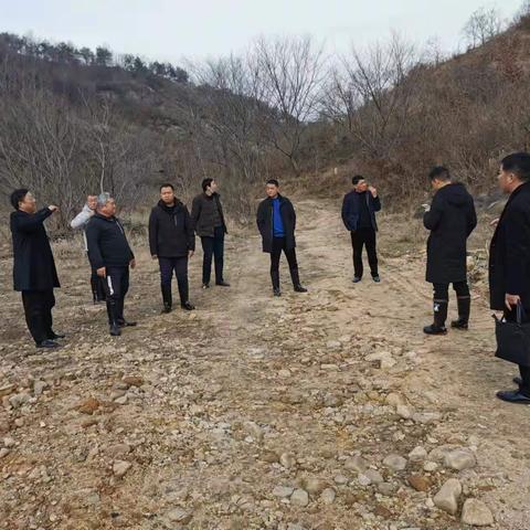 “虎啸风生”竹筏漂——淮河镇虎年开新局抓项目工作纪实