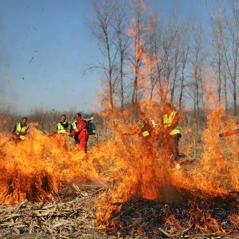 未雨绸缪 主动作为—淮河镇以应急演练活动促进森林防灭火工作扎实有序开展