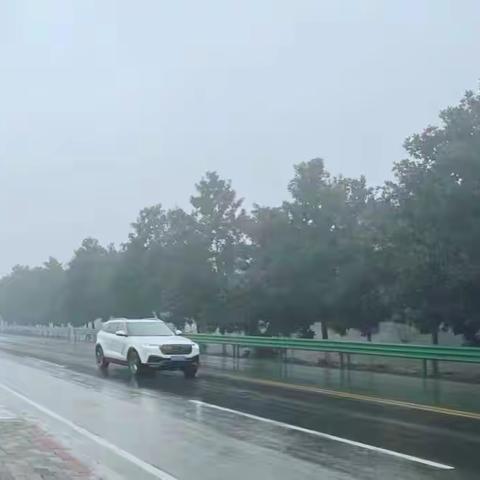 “森林城镇”闪耀“淮河源”——随县淮河镇强基护林兴产业工作纪实