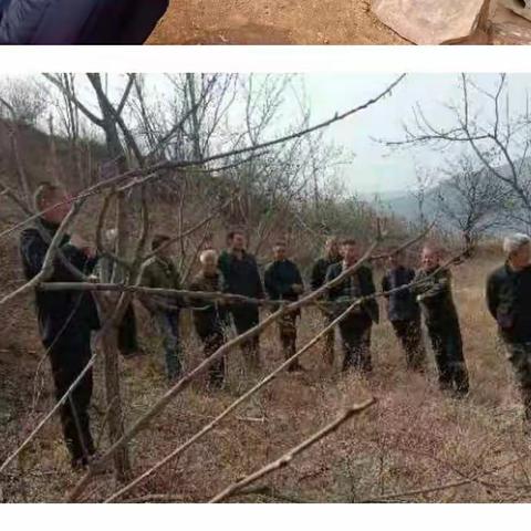 段村乡：农时不等人，春耕开好局