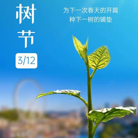“植绿 护绿 兴绿”——周口市第五幼儿园小天使👼班植树节倡议书