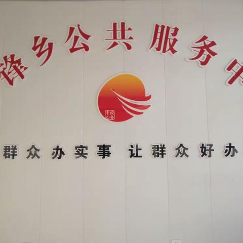 先锋乡创新打造“三位一体”公共服务体系