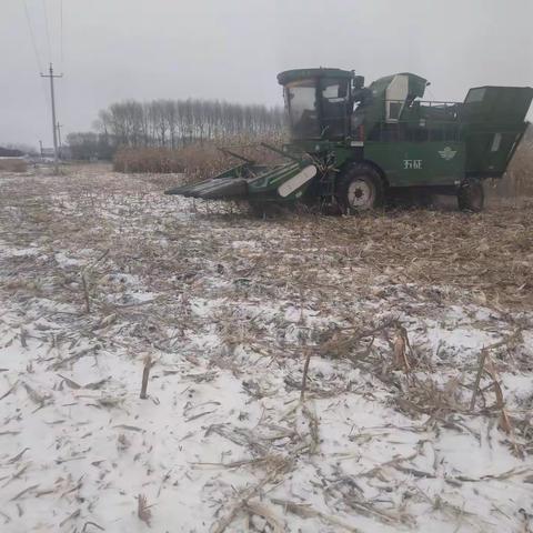 以雪为令：暴雪寒潮来袭，先锋乡紧急行动！