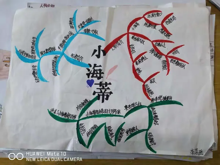 《小海蒂》阅读收获