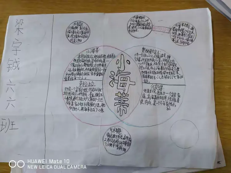 《小海蒂》阅读收获