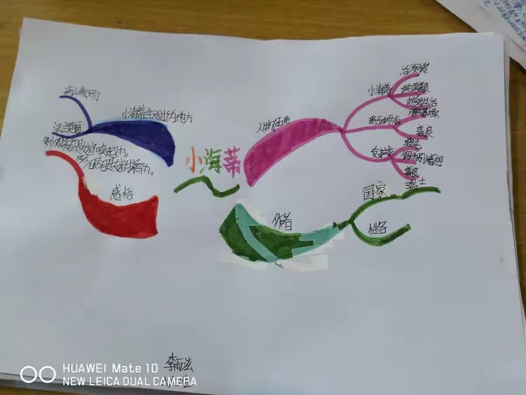 《小海蒂》阅读收获