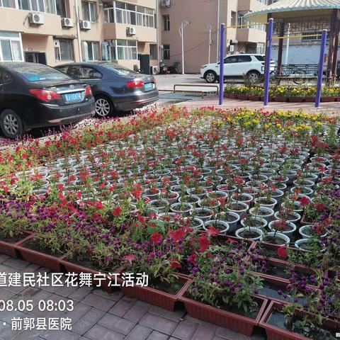 建设街建民社区日常工作