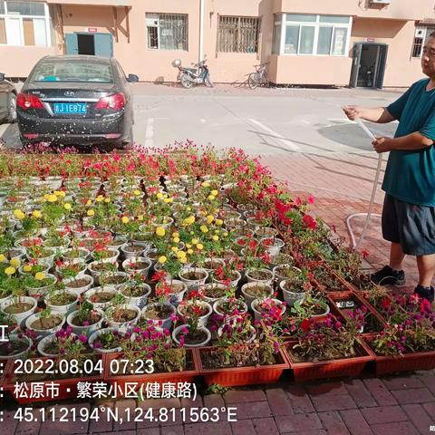 建设街建民社区日常工作