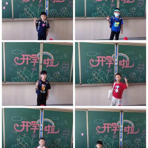 青云里小学一年级九班的花园里开满了鲜花