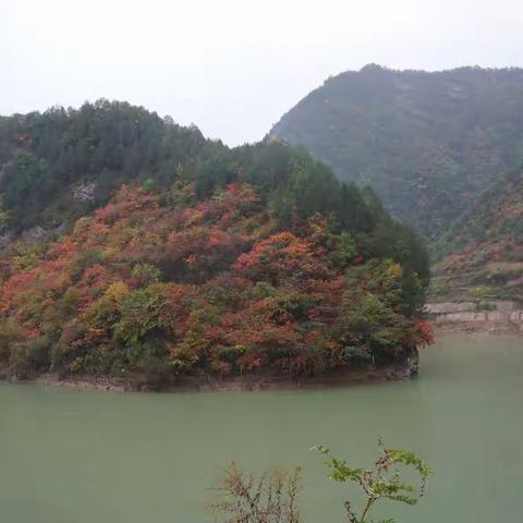 秦岭巫山红叶行（第二天）