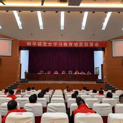 全力以赴推进桐琴镇土地卫片执法违法图斑整改工作