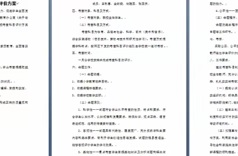 激兴趣、提能力---安驾庄镇民族小学科学、综合实践考查