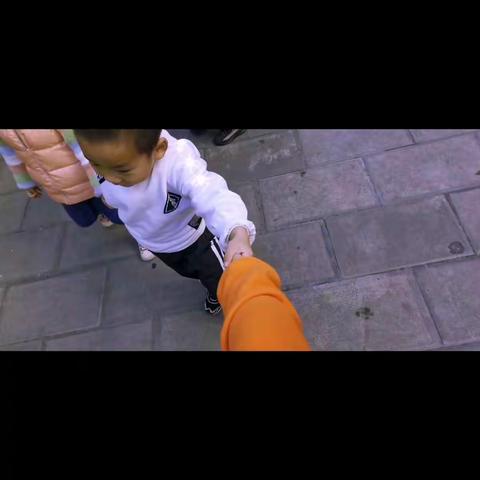 锦林幼儿园小一班第十一周