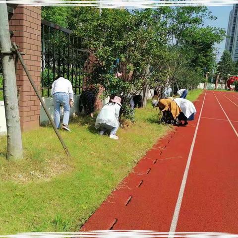 “党员作表率 除草我先行”——合肥市郎溪路小学第一党支部开展“清除杂草，美化校园”义务除草活动