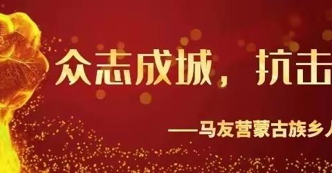 众人拾柴火焰高——马友营乡党群同心共抗疫情纪实