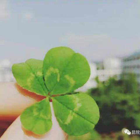 教师技能大赛书法决赛简讯