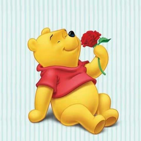 宣威市西宁街道第四完全小学小学实习简报（美篇）第三期 2017级教育学2班徐婷   杨卓仙