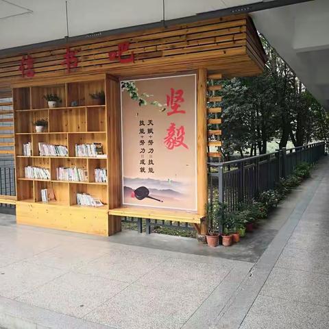 万向中学:  校园“厕所革命”       打造美丽厕所