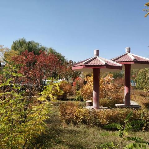 诗画秋韵，美美校园一一多姿多彩的张掖铁路学校